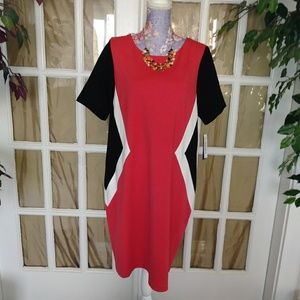Peter Nygard Slimming Pattern Dress NWT